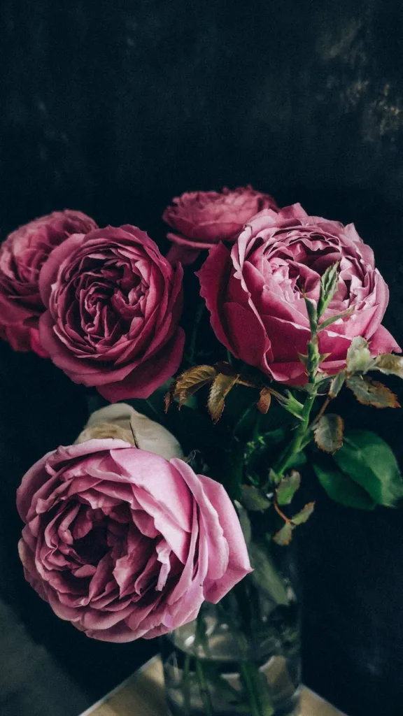 vase with fresh delicate roses placed on table